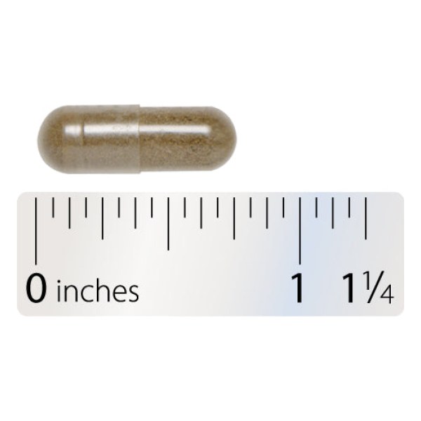 Vitex Extract