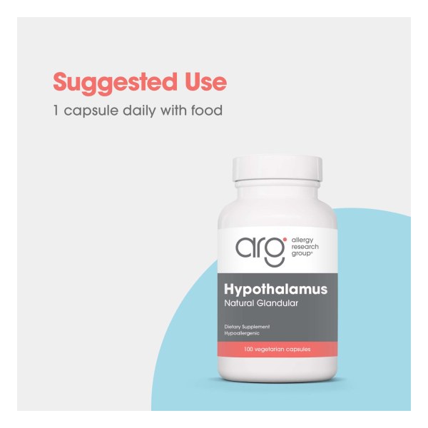 Hypothalamus