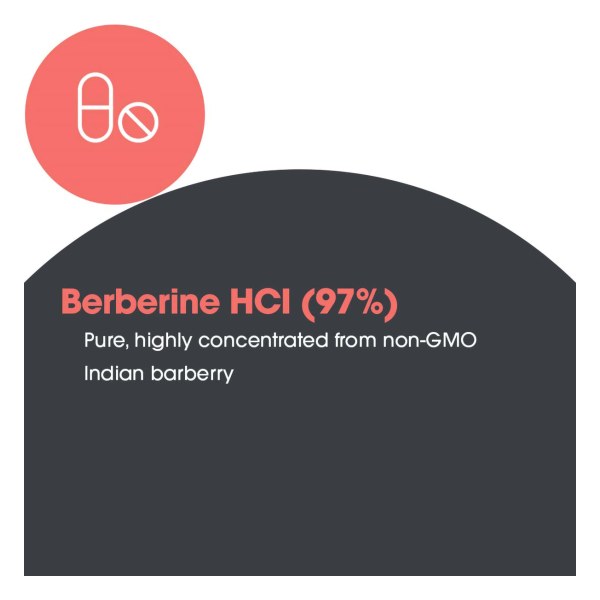 Berberine 500