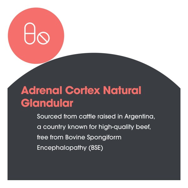 Adrenal Cortex