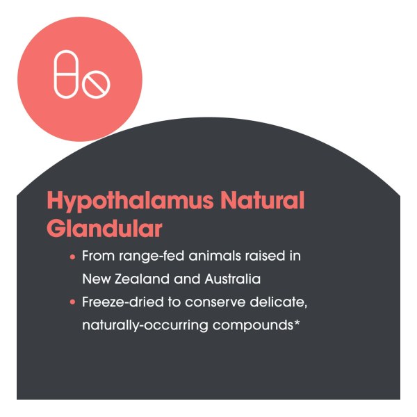 Hypothalamus